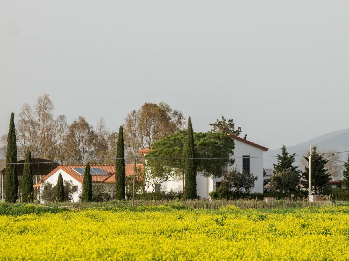 Podere684 Grosseto Eksteriør bilde